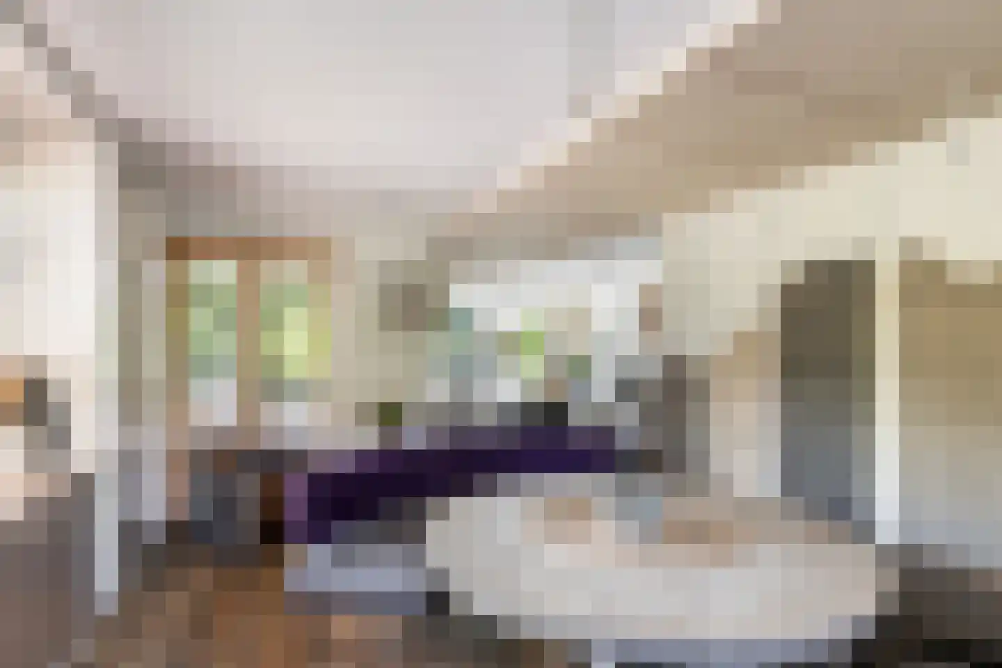 Hondsdraf 13 Naaldwijk thumbnail 11