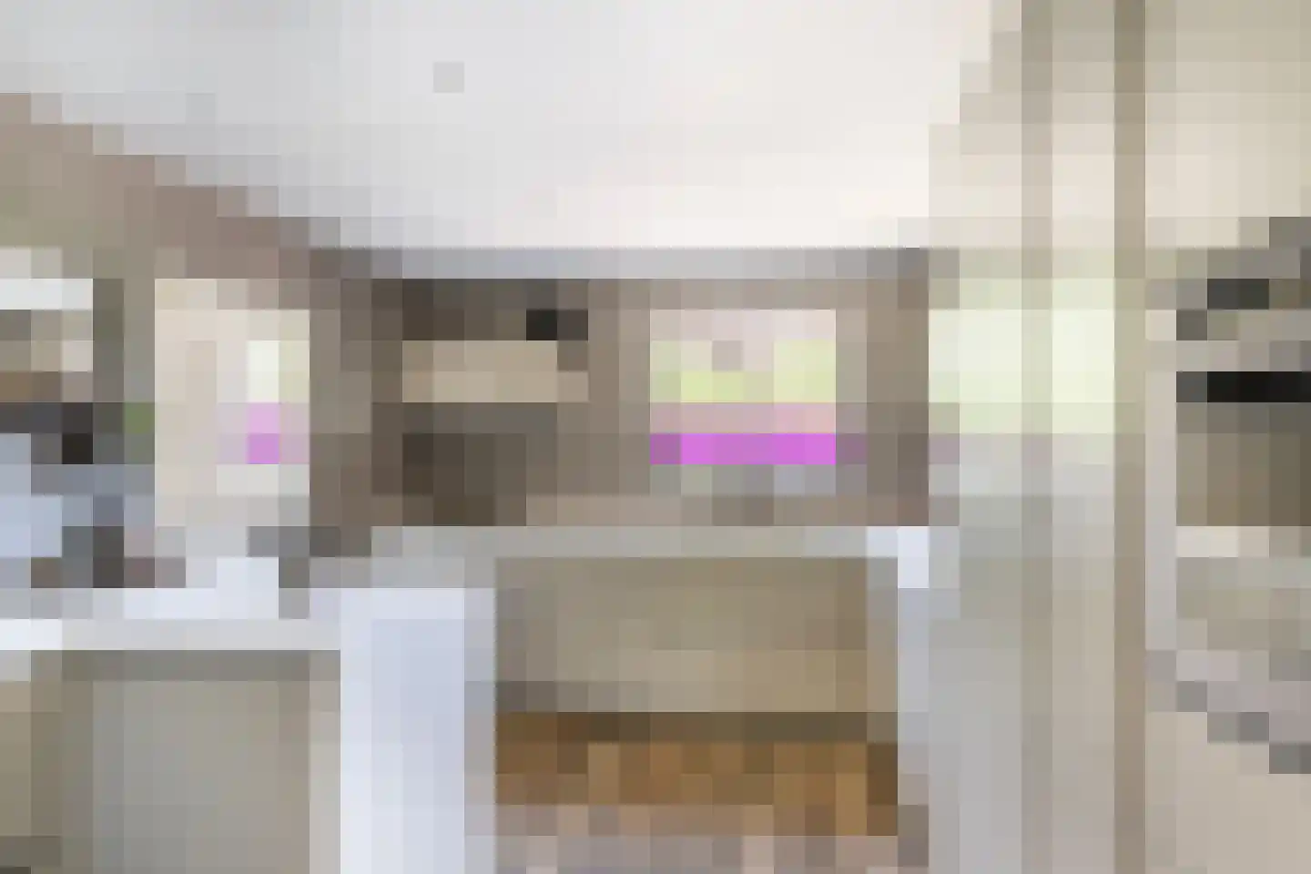 Hondsdraf 13 Naaldwijk thumbnail 12