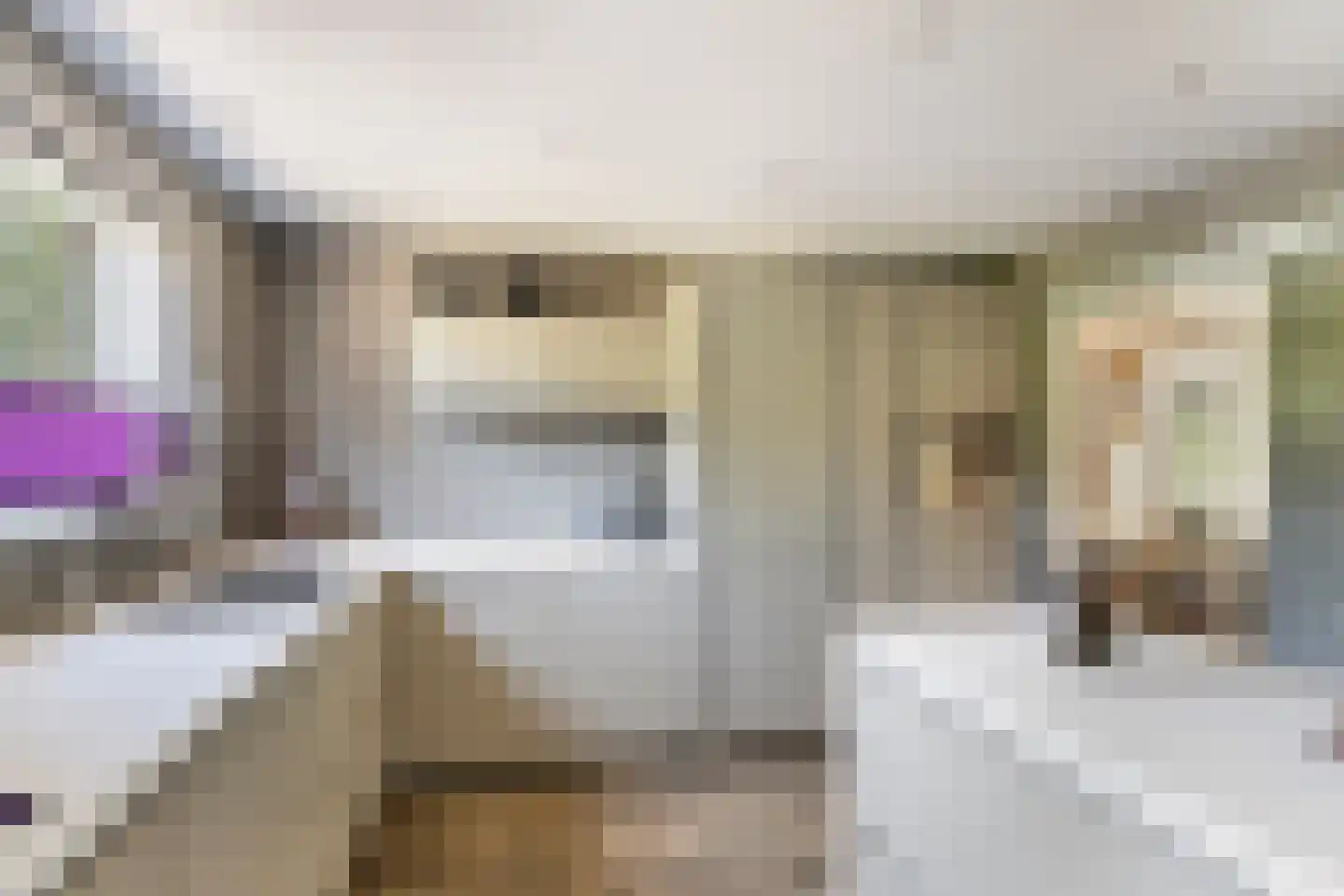 Hondsdraf 13 Naaldwijk thumbnail 16
