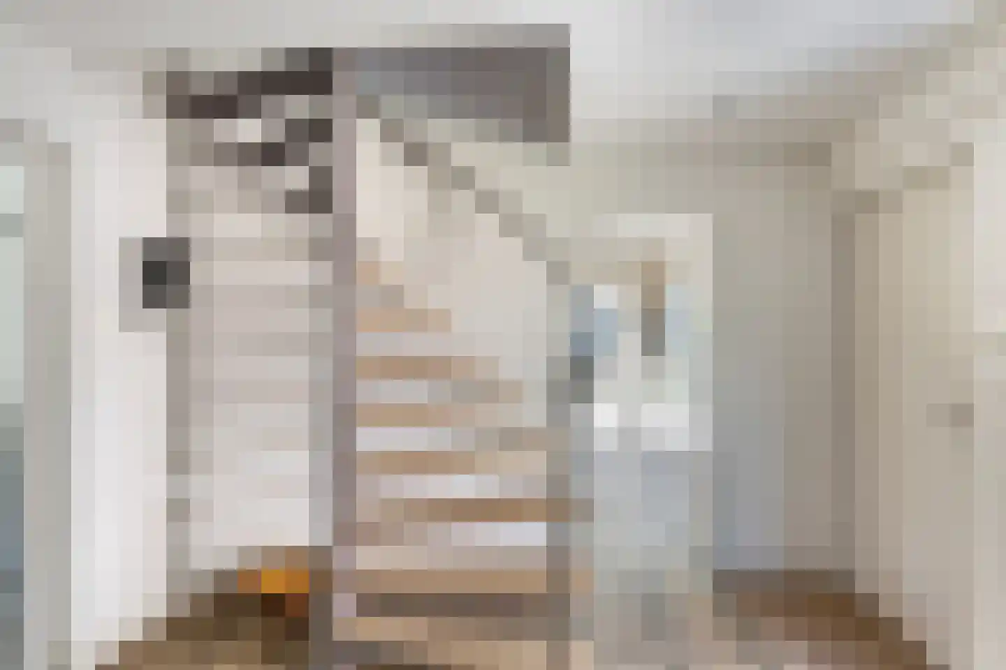 Hondsdraf 13 Naaldwijk thumbnail 17