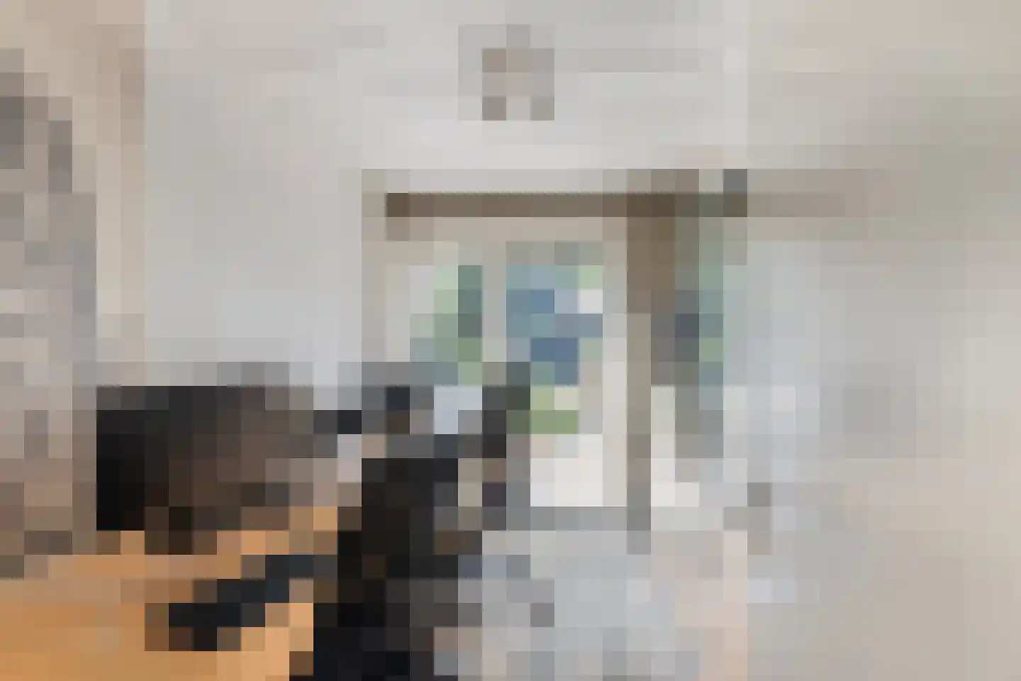 Hondsdraf 13 Naaldwijk thumbnail 18