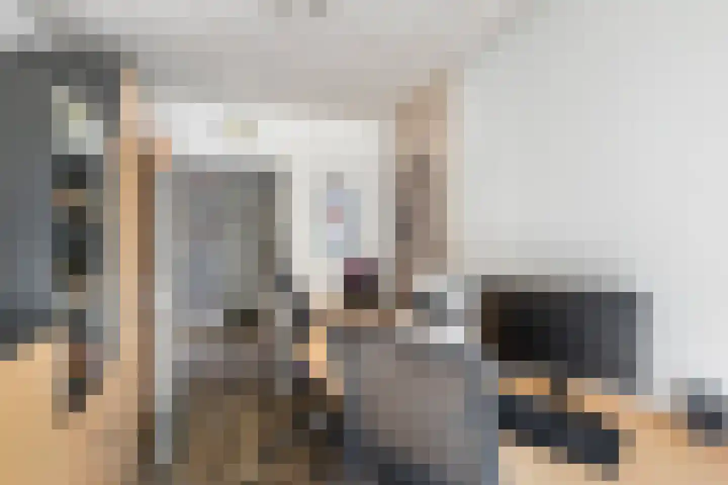Hondsdraf 13 Naaldwijk thumbnail 19