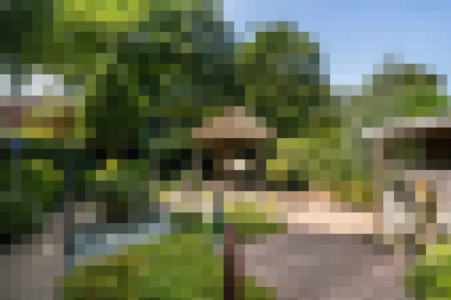 Hondsdraf 13 Naaldwijk thumbnail 21