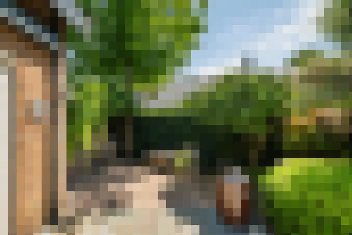Hondsdraf 13 Naaldwijk thumbnail 23
