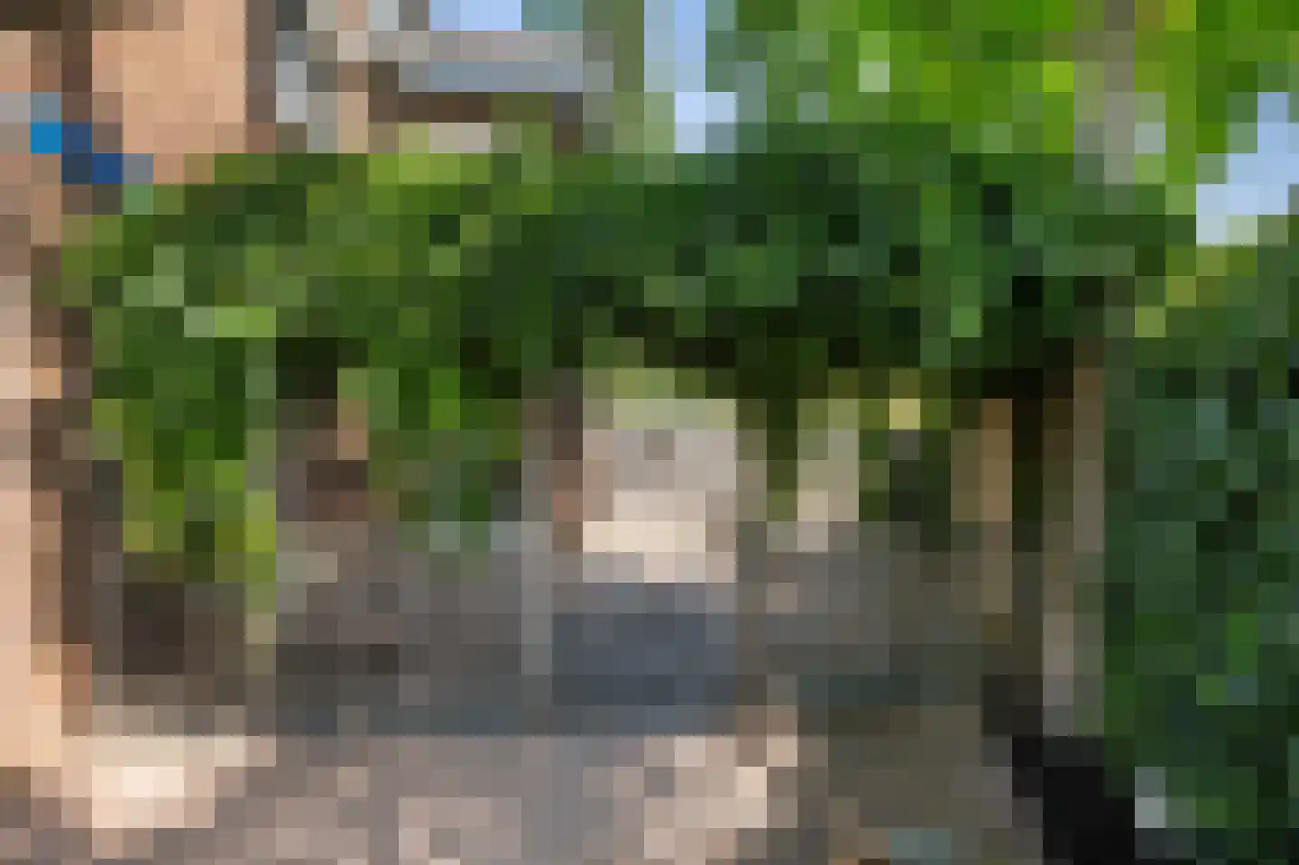 Hondsdraf 13 Naaldwijk thumbnail 24