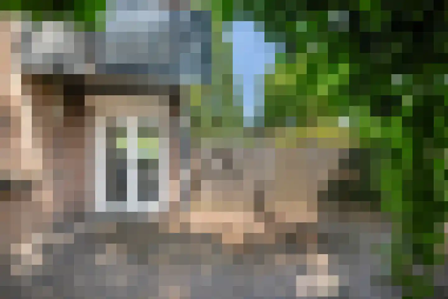 Hondsdraf 13 Naaldwijk thumbnail 25