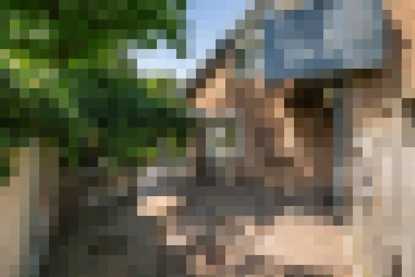 Hondsdraf 13 Naaldwijk thumbnail 27