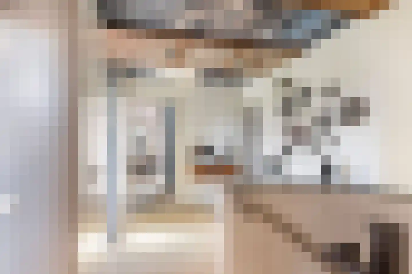 Hondsdraf 13 Naaldwijk thumbnail 28