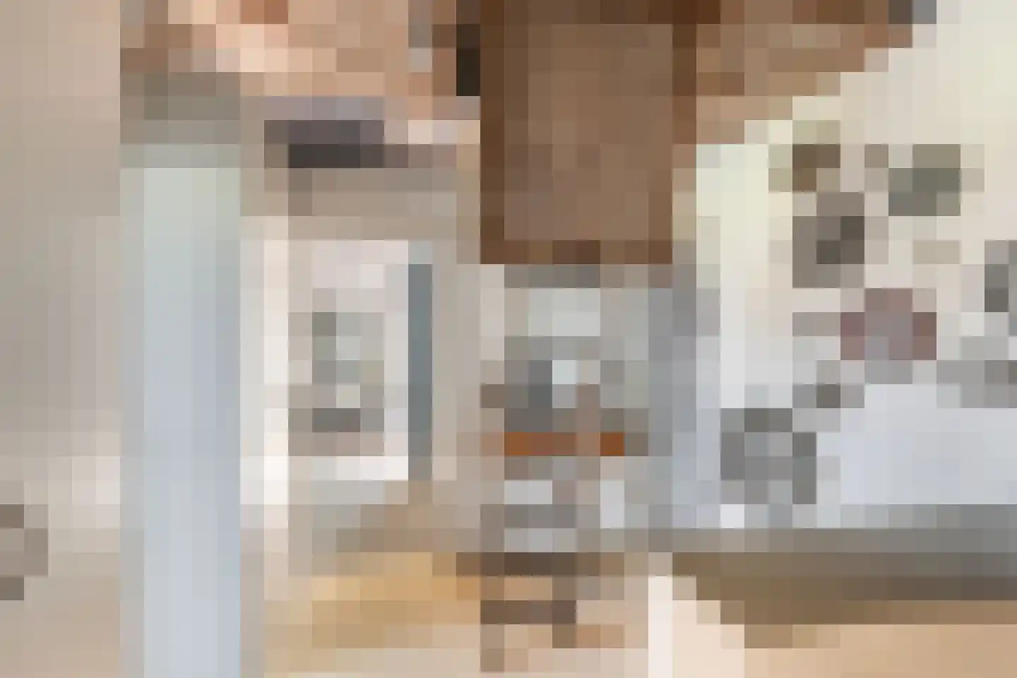 Hondsdraf 13 Naaldwijk thumbnail 29