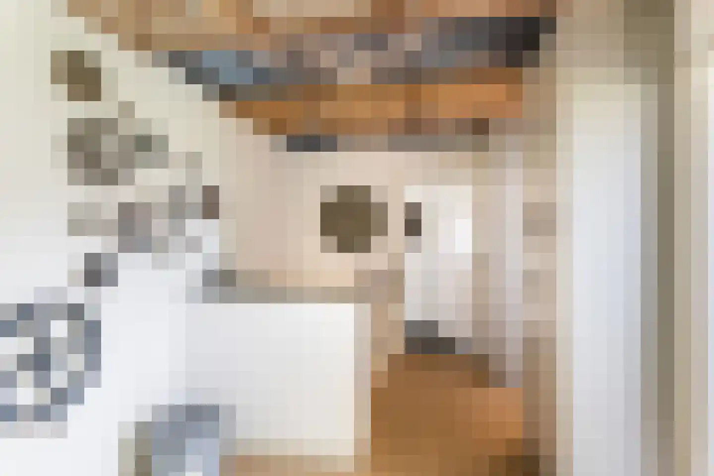 Hondsdraf 13 Naaldwijk thumbnail 30