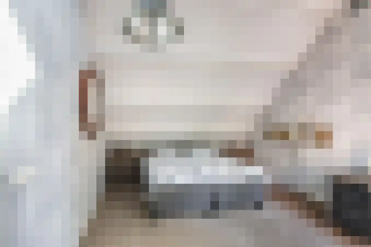Hondsdraf 13 Naaldwijk thumbnail 31
