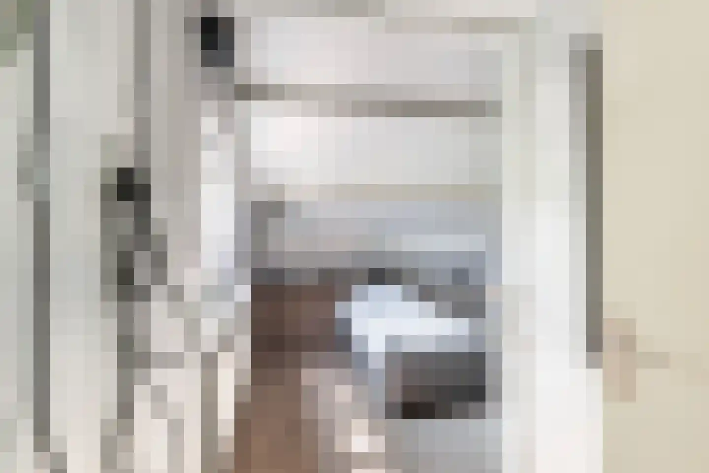 Hondsdraf 13 Naaldwijk thumbnail 34