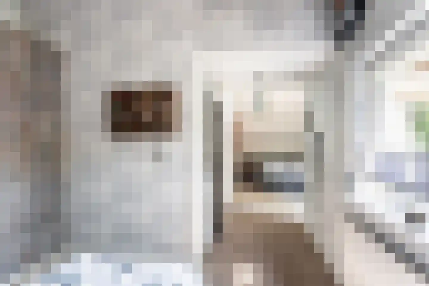 Hondsdraf 13 Naaldwijk thumbnail 36