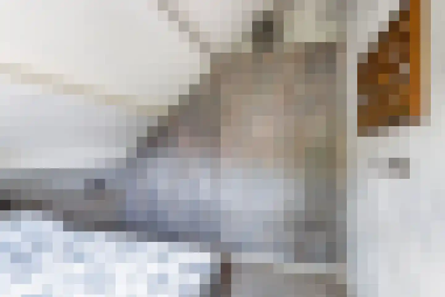 Hondsdraf 13 Naaldwijk thumbnail 37
