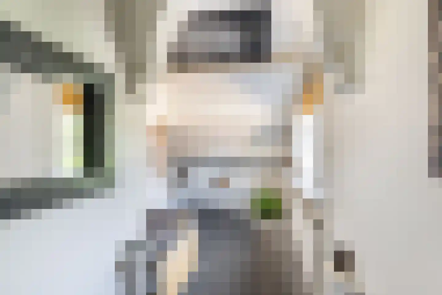 Hondsdraf 13 Naaldwijk thumbnail 38