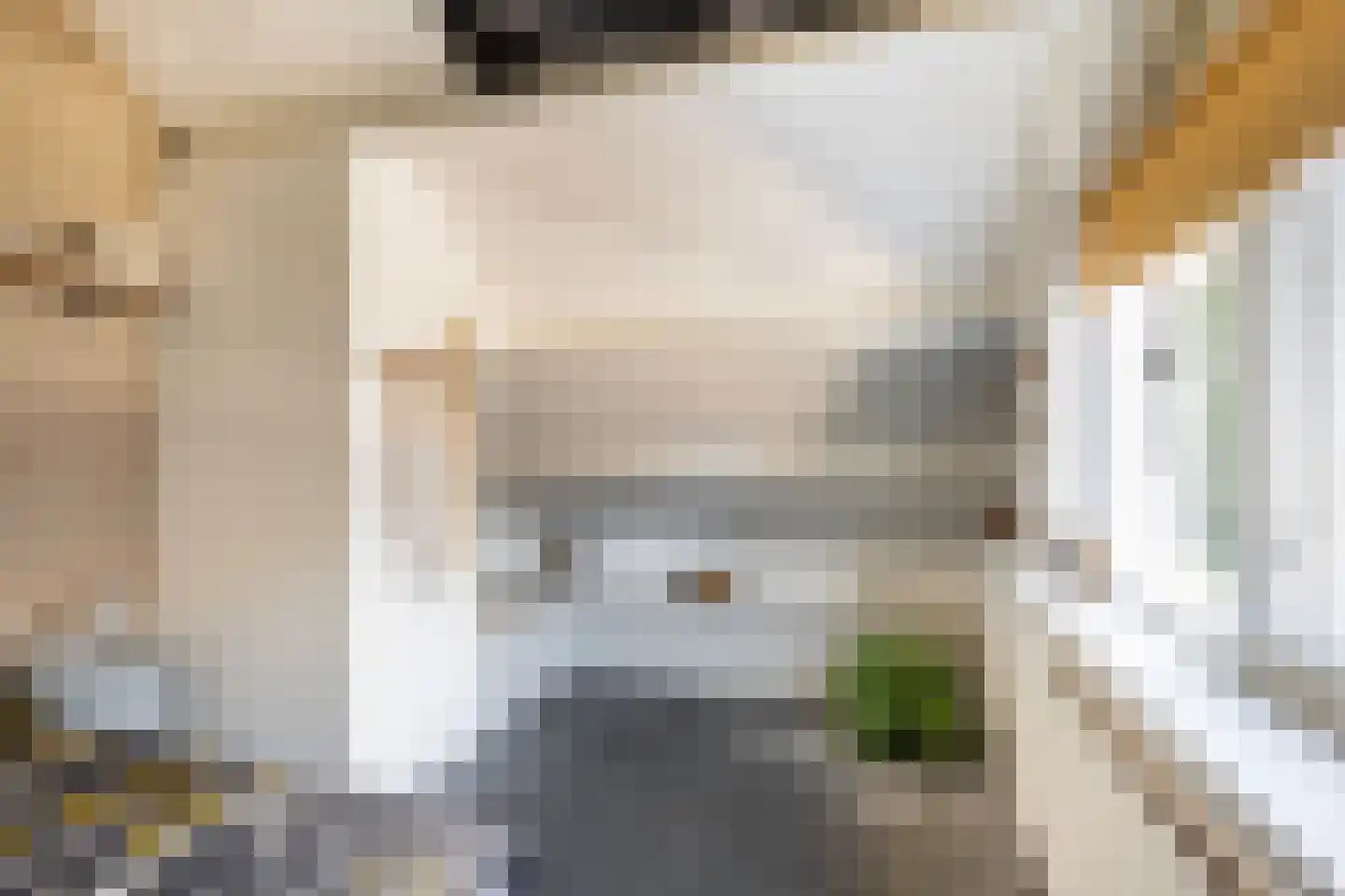 Hondsdraf 13 Naaldwijk thumbnail 39