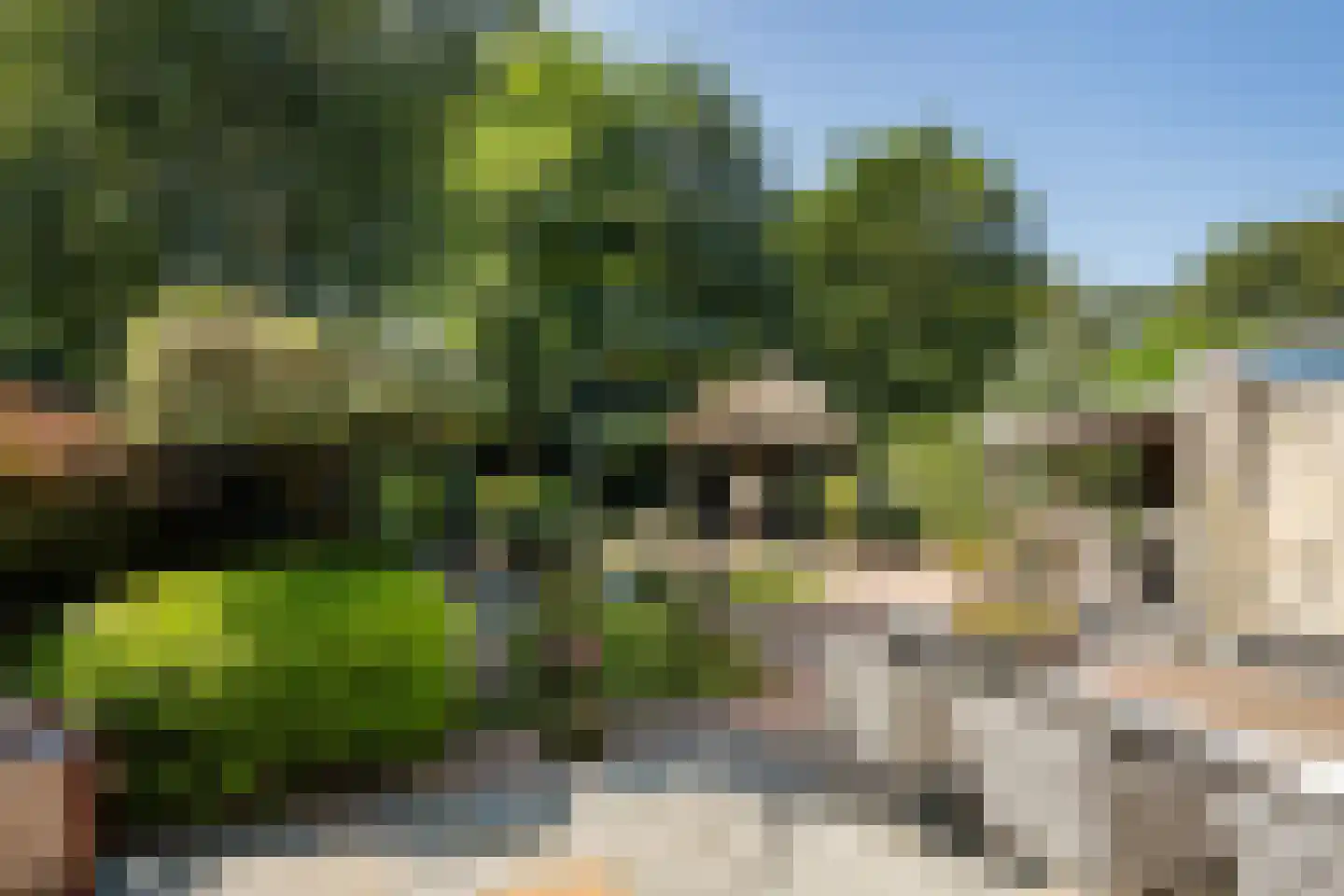 Hondsdraf 13 Naaldwijk thumbnail 4