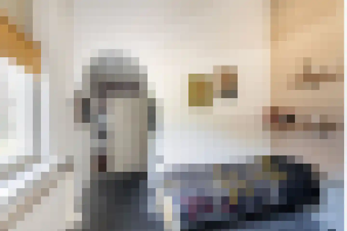 Hondsdraf 13 Naaldwijk thumbnail 40