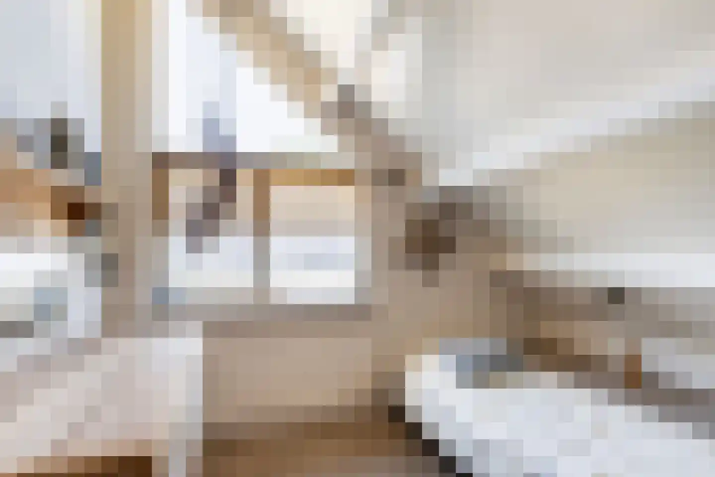 Hondsdraf 13 Naaldwijk thumbnail 42