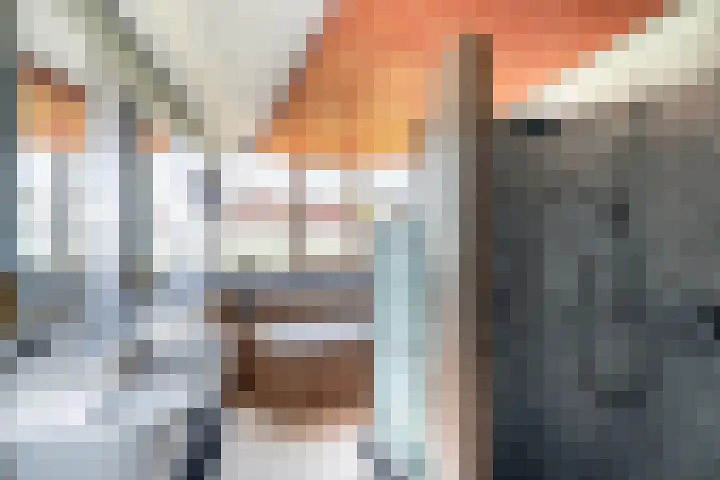 Hondsdraf 13 Naaldwijk thumbnail 43