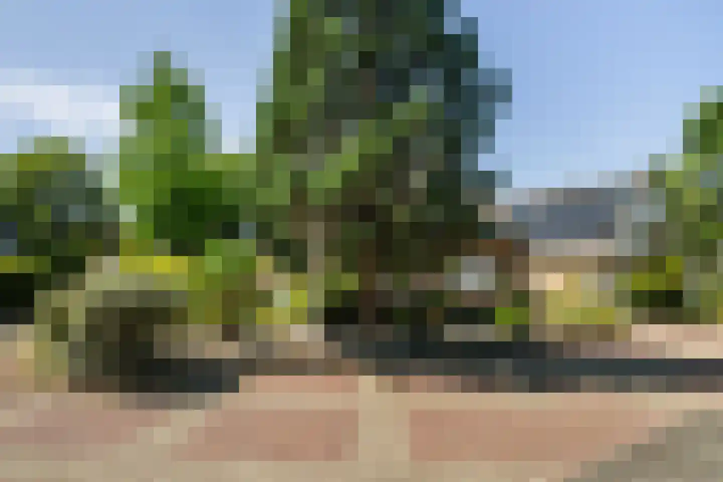 Hondsdraf 13 Naaldwijk thumbnail 48