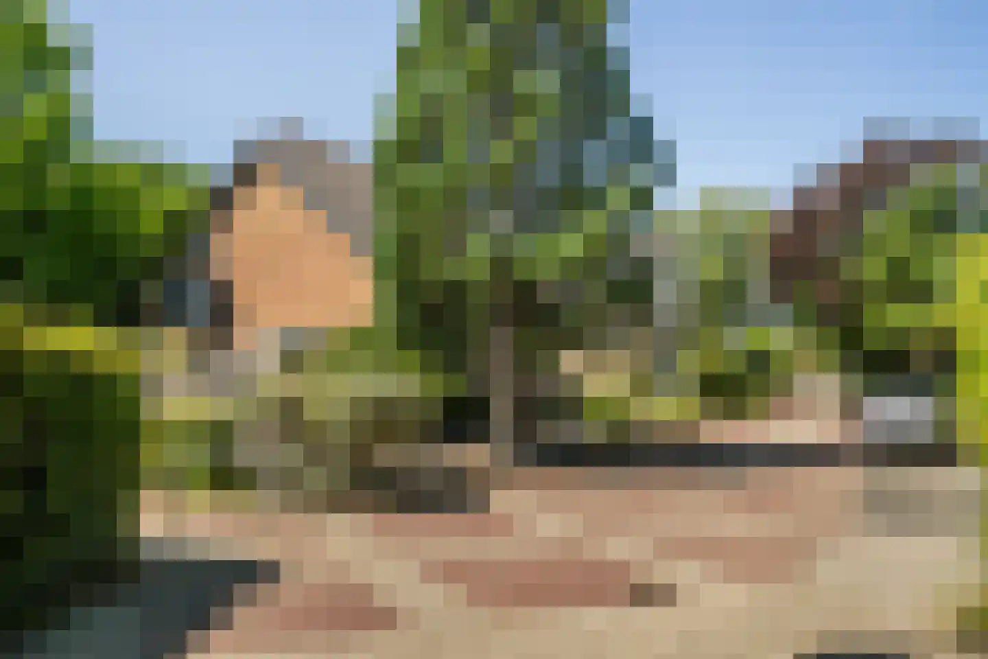 Hondsdraf 13 Naaldwijk thumbnail 49