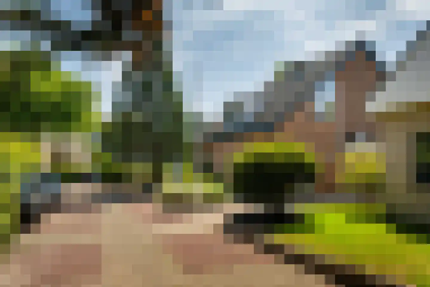 Hondsdraf 13 Naaldwijk thumbnail 50
