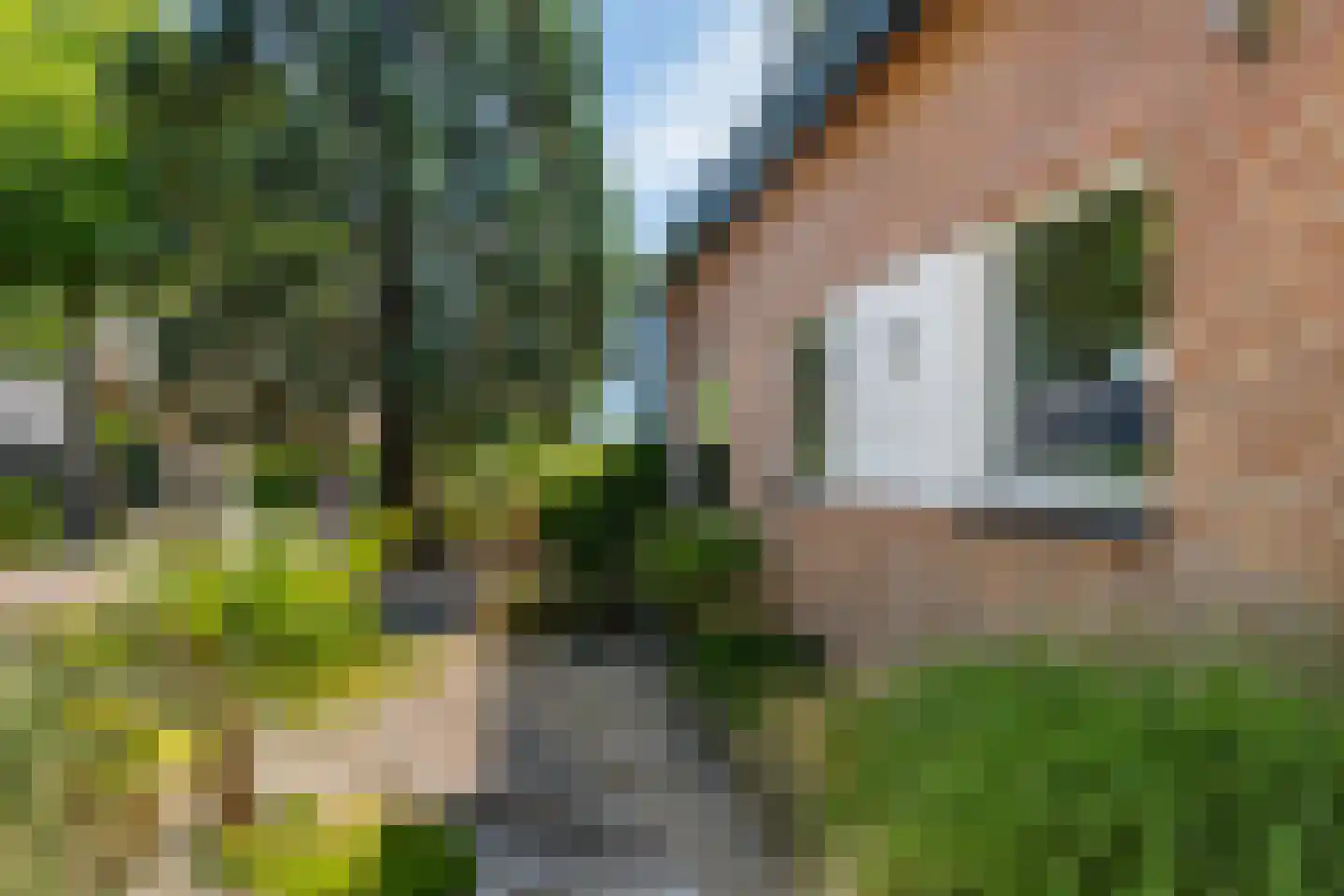 Hondsdraf 13 Naaldwijk thumbnail 51