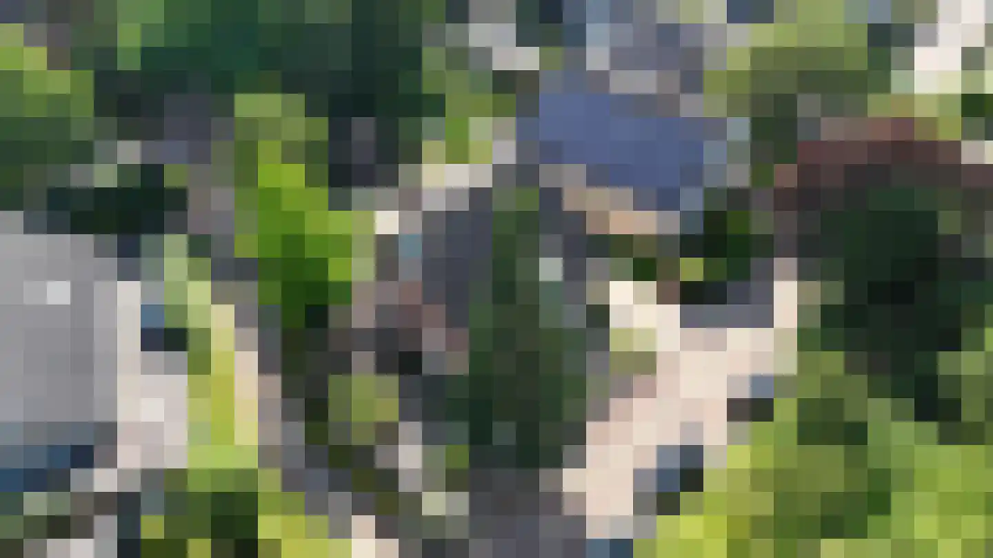 Hondsdraf 13 Naaldwijk thumbnail 52