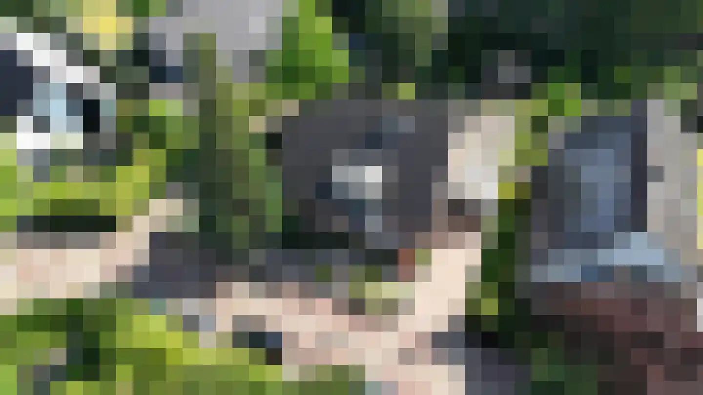 Hondsdraf 13 Naaldwijk thumbnail 53