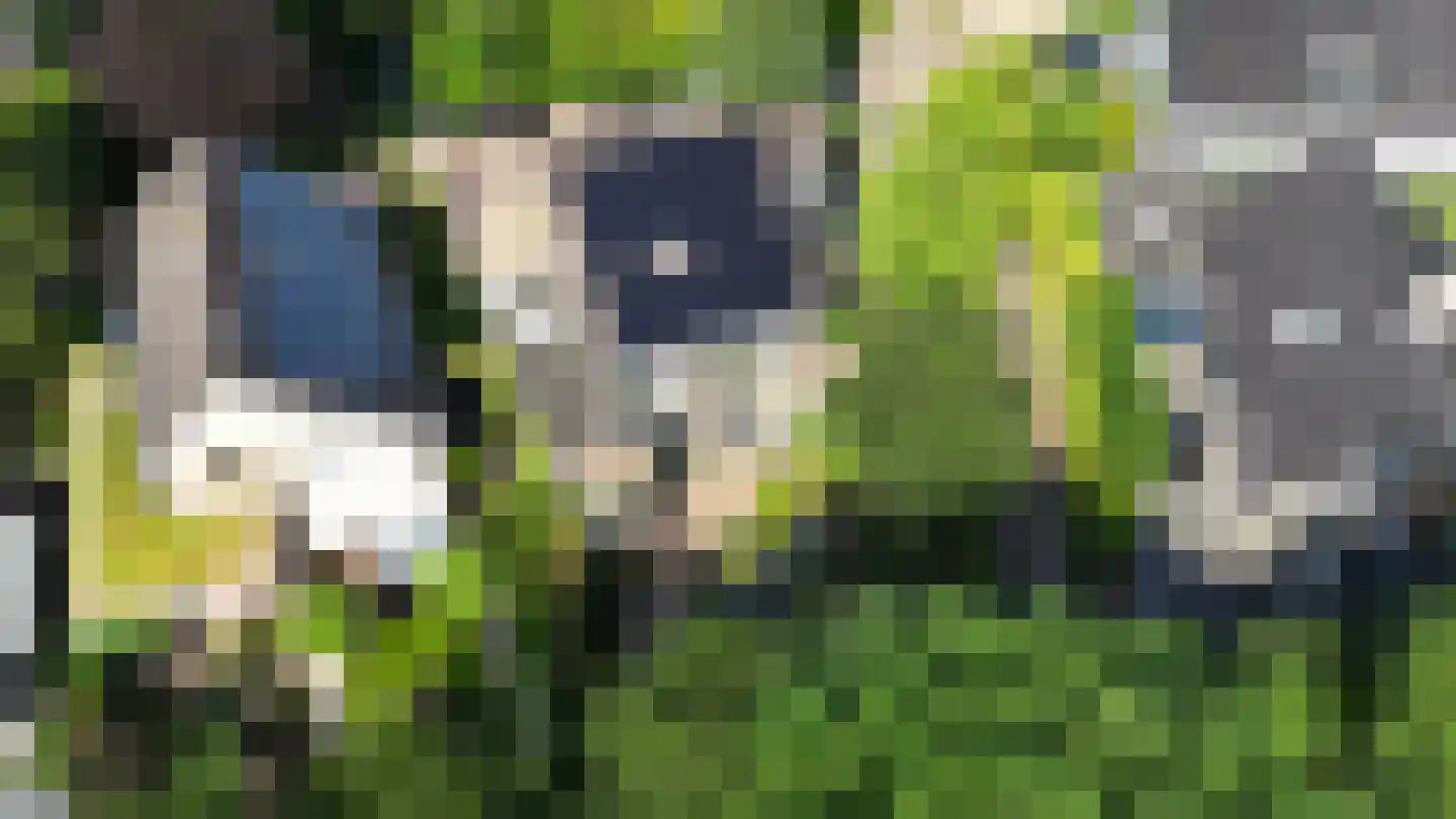 Hondsdraf 13 Naaldwijk thumbnail 55