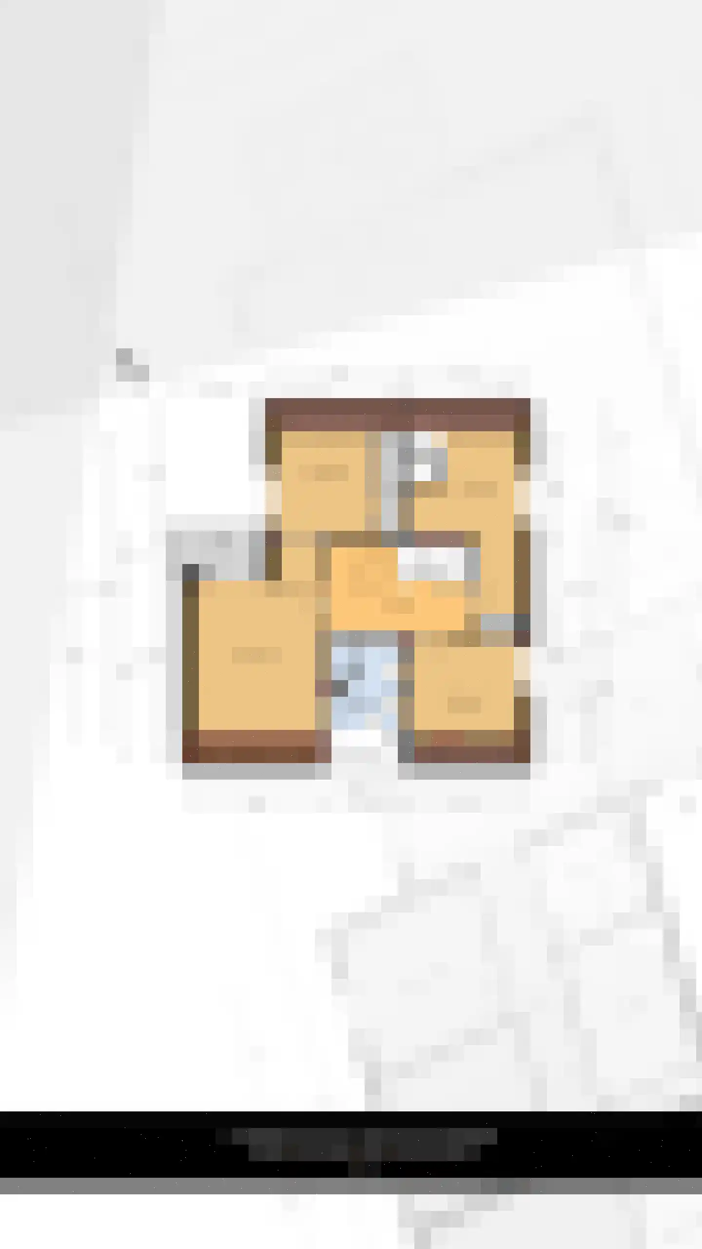 Hondsdraf 13 Naaldwijk thumbnail 59