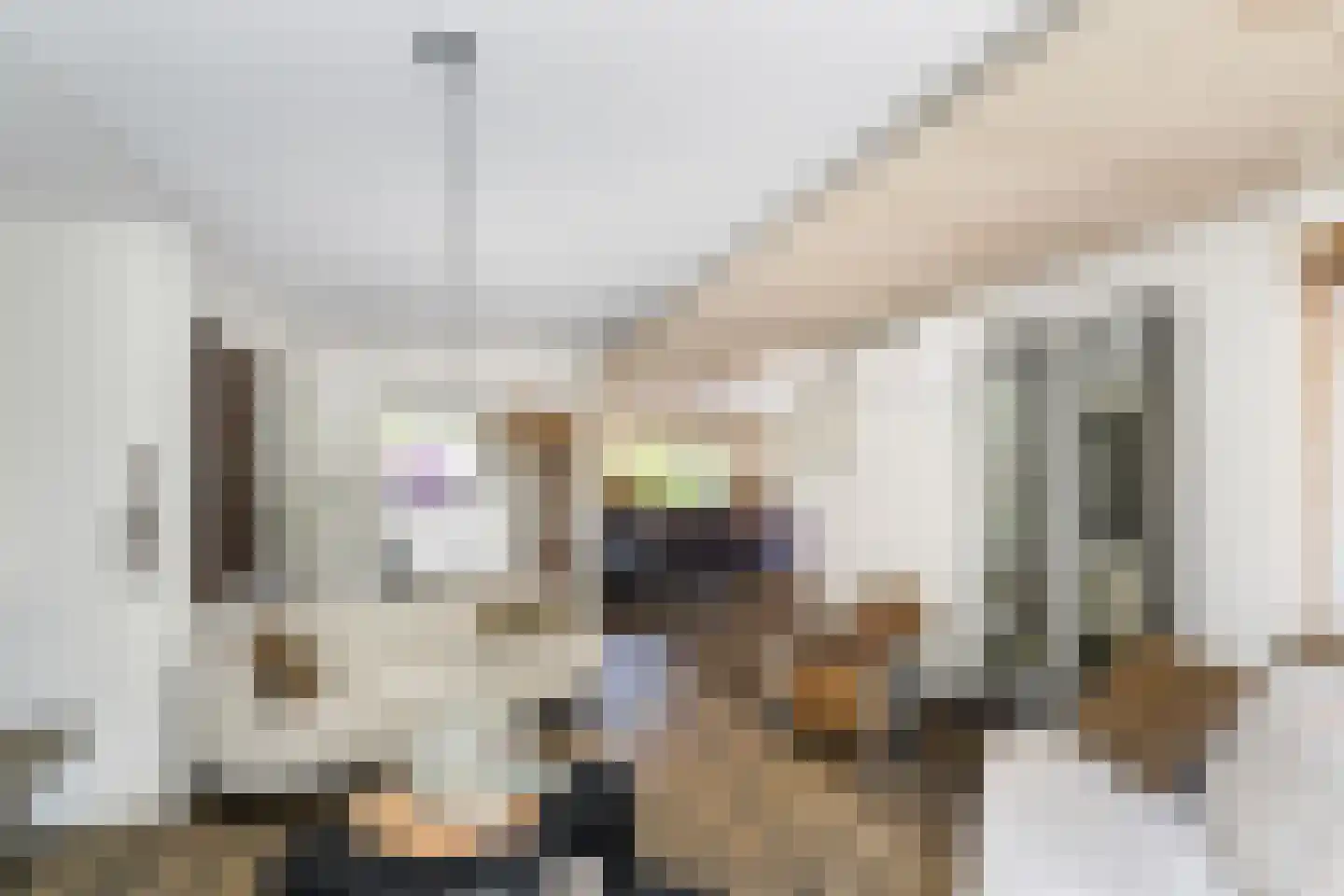 Hondsdraf 13 Naaldwijk thumbnail 9