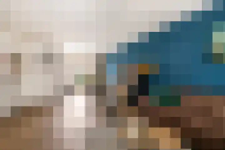 Hondsdraf 132 Swifterbant thumbnail 10