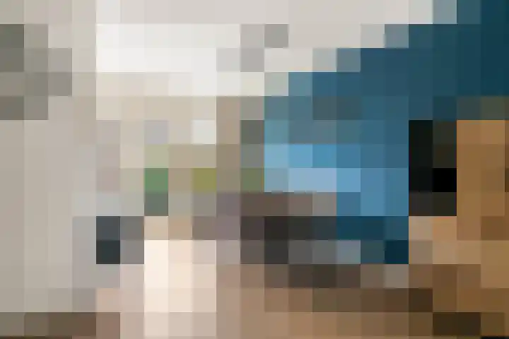 Hondsdraf 132 Swifterbant thumbnail 11