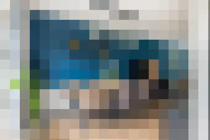 Hondsdraf 132 Swifterbant thumbnail 13