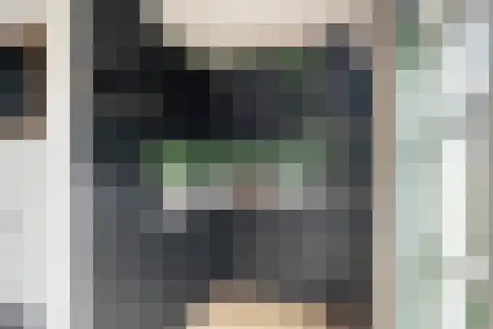Hondsdraf 132 Swifterbant thumbnail 14