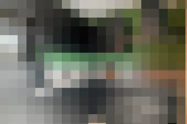 Hondsdraf 132 Swifterbant thumbnail 15