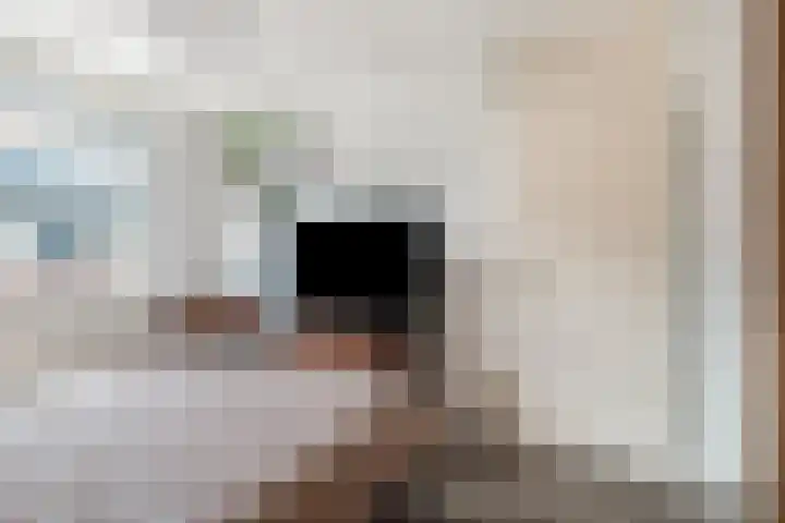 Hondsdraf 132 Swifterbant thumbnail 19