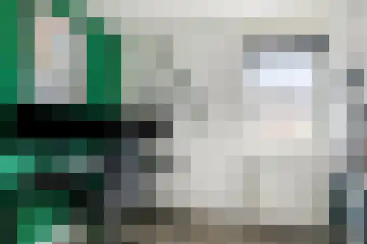 Hondsdraf 132 Swifterbant thumbnail 20