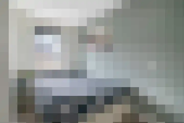Hondsdraf 132 Swifterbant thumbnail 22