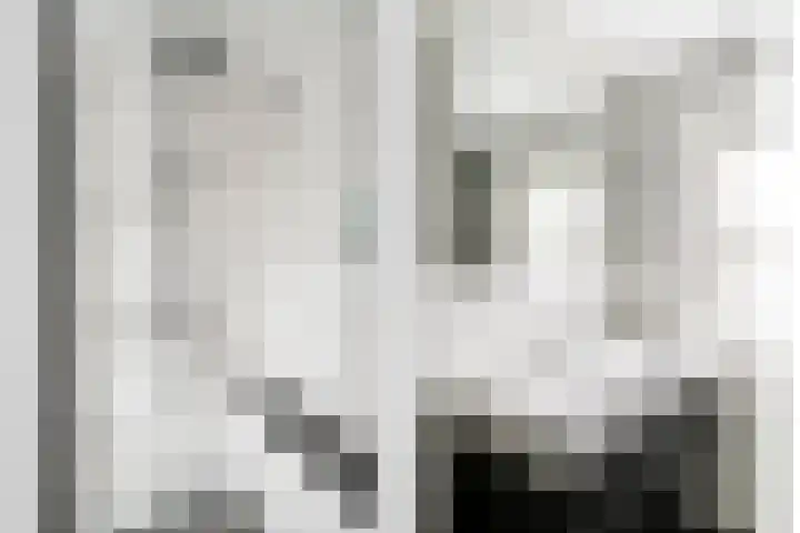 Hondsdraf 132 Swifterbant thumbnail 25