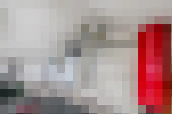 Hondsdraf 132 Swifterbant thumbnail 26