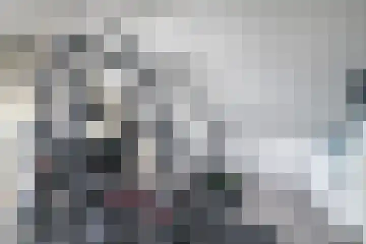 Hondsdraf 132 Swifterbant thumbnail 28