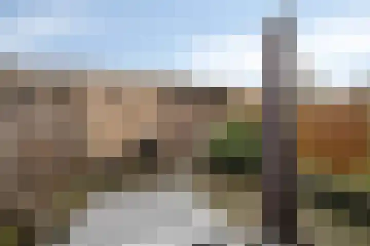 Hondsdraf 132 Swifterbant thumbnail 30