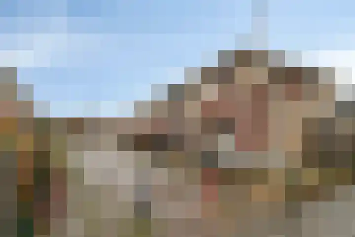 Hondsdraf 132 Swifterbant thumbnail 31