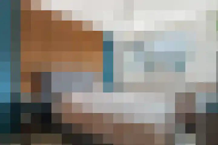 Hondsdraf 132 Swifterbant thumbnail 4