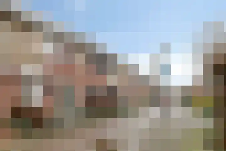 Hondsdraf 132 Swifterbant thumbnail 5