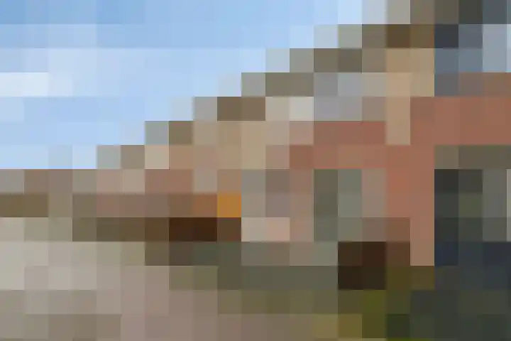 Hondsdraf 132 Swifterbant thumbnail 6