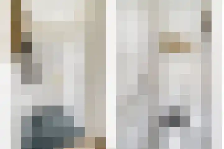 Hondsdraf 132 Swifterbant thumbnail 7